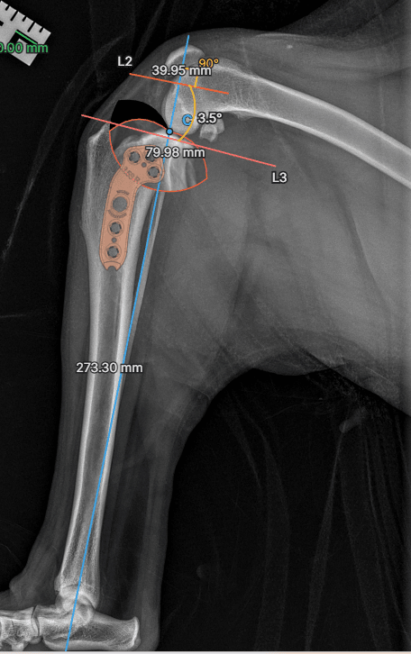 A completed osAlign TPLO plan showing landmarks, the tibial plateau angle, the planned osteotomy, an aligned plate, and millimeter measurements on a lateral stifle radiograph